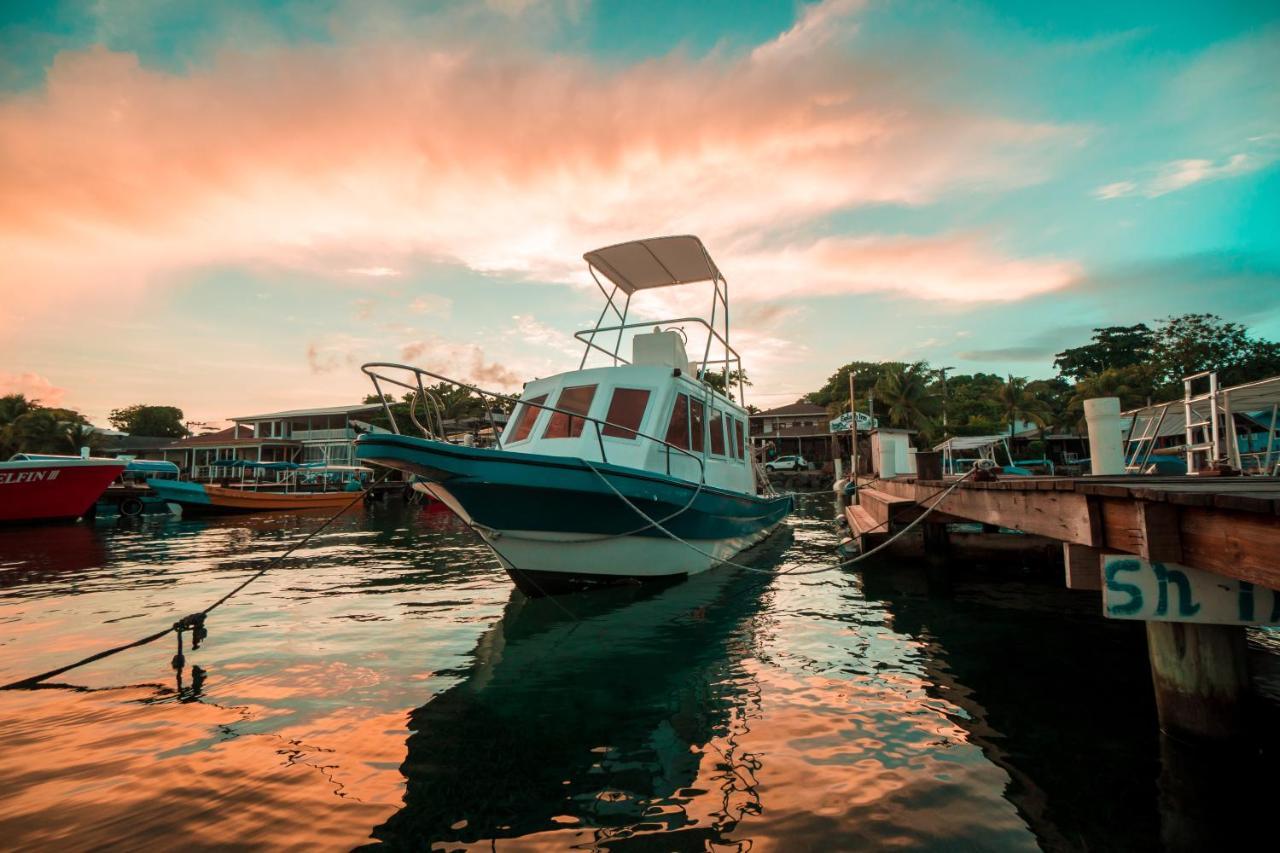 West End Dive Resort Exterior photo